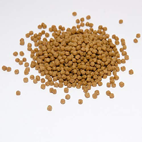 Warnick´s Tierfutterservice Koi Koifutter 15 kg * Wheatgerm * für Frühjahr & Herbst in 3-6mm