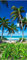wandmotiv24 Türtapete Palmen an einem tropischen Strand 70 x 200cm (B x H) - Dekorfolie selbstklebend Sticker für Türen, Türfolie, Aufkleber, M0914