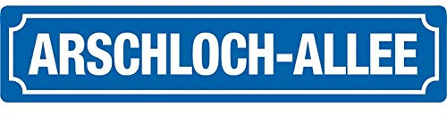Blechwaren Fabrik Braunschweig GmbH - ARSCHLOCH-Allee - 3D geprägtes Blechschild Straßenschild 46x10 cm STR 218
