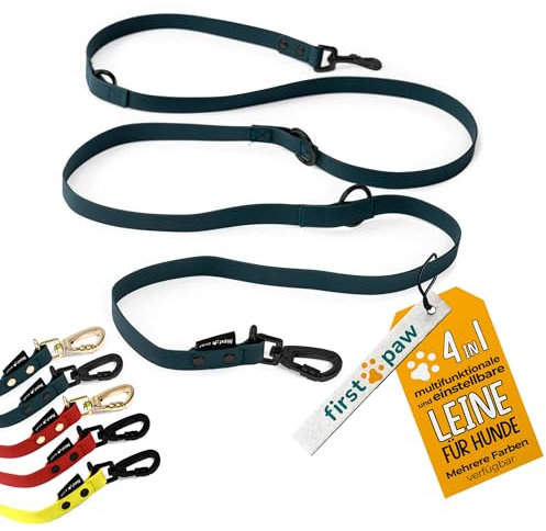 FIRSTPAW Hundeleine - Grüne Leine 2m - für kleine, mittelgroße und große Hunde - Doppelleine für 2 Hunde - Gepolstert, Multifunktionell (Schwarz).