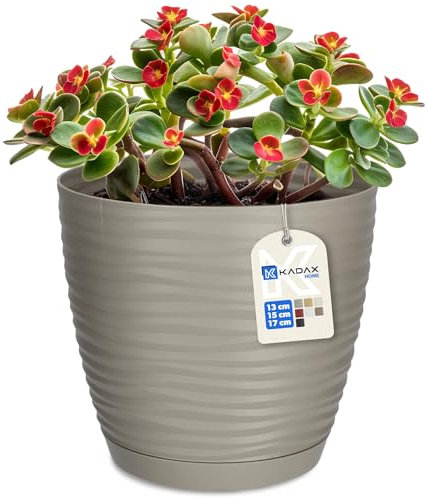 KADAX Maceta con plato, maceta para interiores, maceta ligera de plástico, maceta para flores, plantas, hogar, habitación, maceta (17 cm, gris)