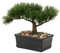 Briful, Bonsai artificiale di ginepro, pianta artificiale per interni, decorazione con vaso in ceramica per casa, tavolo, ufficio, scrivania, bagno, mensola, camera da letto, soggiorno, arredamento in