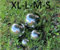 Boule de roses « XL » en acier inoxydable brillant - 24,4 cm - Décoration de jardin, étang