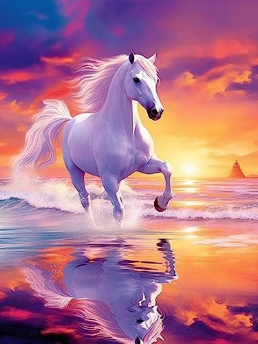 Bimkole DIY 5D Diamond Painting Zubehör Weißes Pferd Meer, Sonnenuntergang Himmel Diamant Malerei Kit Voll Runde Bohrer Malen nach Zahlen Malerei Stickerei Kreuzstich Diamond Dekoration, (30x40 cm)