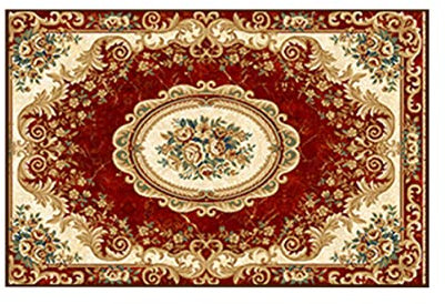 YARNOW Outdoor Doormat 60cm x 40cm European Style Runner Rug Entrance Door Mat Indoor Floor Mat for Living Room Hallway Bedroom