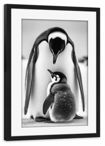 artboxONE Poster mit Rahmen schwarz 75x50 cm Kaiserpinguin von Uwe Merkel - gerahmtes Poster