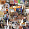 50 Stück Lustige Meme Sticker Set,Meme Aufkleber für Auto Laptop Skateboard Fahrrad Moped Motorrad Fahrrad Computer,Geeignet für Erwachsene (Meme 01)