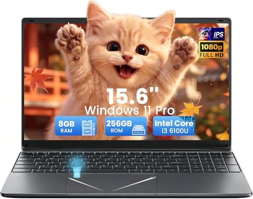 Kayoote Computer Portatile 15.6 Pollici, Processore i3-6100U Laptop Business, 8GB DDR3 256GB SSD PC Studenti, Win 11 Pro, Impronta Digitale, USB 3.0, HDMI, WiFi, BT, Tastiera Retroilluminata RGB