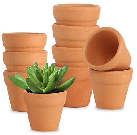 AOROPS Mini Terrakotta Tontöpfe, 10 Stücke Kleine Töpfe 3cm für Sukkulenten, Anzuchttöpfe für Drinnen und Draußen Dekorieren
