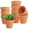 Maceta Pequeña Terracota, 10 Piezas 3cm Macetas Suculentas de Barro Cocido, Mini Macetas de Barro Macetas de Cultivo Mini Maceta para Decoración de Interior y Exterior
