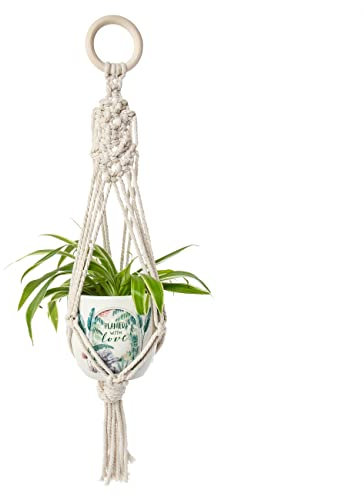 Me To You Bear Plant Pot, Grey. AGZ01157