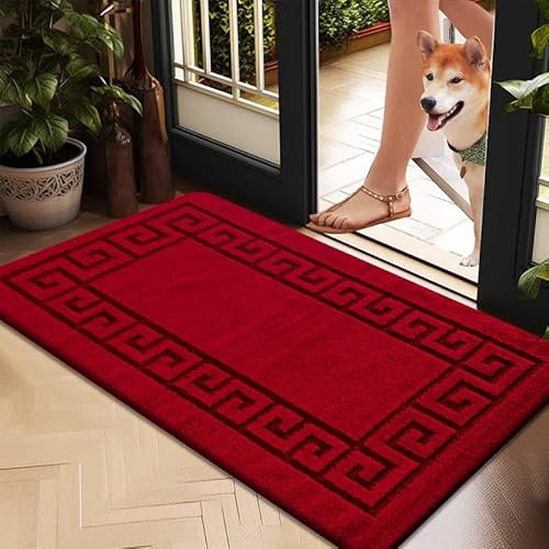 Cozy Haven Gel Backed Classic Door Mat – Non-Slip Washable Doormat, Heavy Duty Welcome Dirt Trapper, Water Absorbent Floor Mat for Indoor/Outdoor Use, Front Entrance, and Kitchen (Red, 50x80 cm)