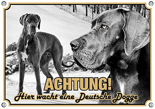 Petsigns Hundeschild Deutsche Dogge - Great Dane - uv-beständiges Exklusives Metallschild, DIN A4