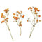 MZYFDC Fiori Pressati Secchi 12 Pezzi di Fiori pressati alla Moda, Bouquet eterni, Fiori secchi Colorati for Decorazioni Fai da Te per Produzione di Sapone(Orange)