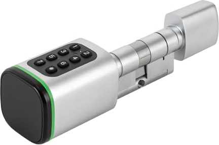 Serratura elettronica per porta con codice numerico, Smart Lock con app Smart Keycard e chiave, per porte da 35-45 mm, standard UE, colore argento, per porta di casa, appartamento, ufficio, hotel