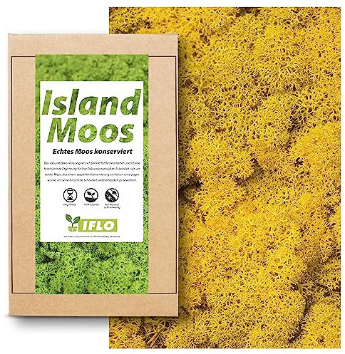 Echtes Moos - Natur Dekomoos zum basteln in verschiedenen frischen Sorten - DIY - Islandmoos, Plattenmoos, Bollenmoos, Hügelmoos Sphagnum Moos (100g - Island Moos Gelb)