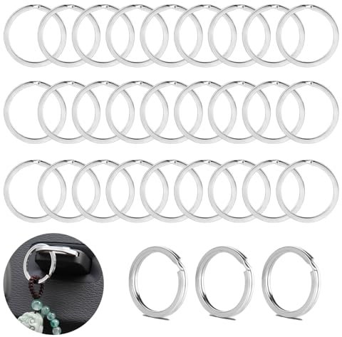 YANXINKE 100pcs Anillas para Llaveros, 25mm Arandelas Llavero, Anillos de Metal Cadena, Anillas de Llavero de Acero Inoxidable, para Organización de Llaves de Coche Oficina Art y Artesanía