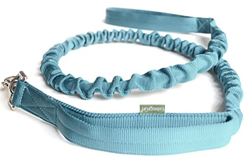 Leisegrün Elastische Hundeleine | Führleine für Hunde aus Nylon mit Kurzführer & Ruckdämpfer | Länge 130 cm bis 200 cm | Petrol Blau