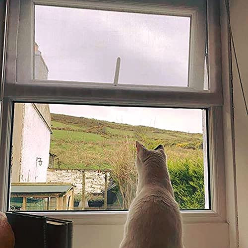Flat Cats Window protection for Cats Small Custom made Screen (Maximum size of 60cm x 60cm)