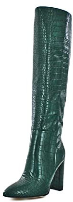 QUEEN HELENA Stivali Alti al Ginocchio a Punta Eleganti Casual con Tacco Semplici Comodi Senza Chiusura Donna K2010 (VERDE, numeric_35)