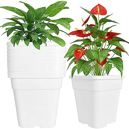 elfinrm Quadratische Pflanztöpfe für Pflanzen, Spritzguss-Kunststoff-Anzuchttöpfe, 10 l, Weiß, 10 Stück
