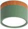 Deckenlampe COB-Strahler Deckenstrahler LED-Aufbau-Downlights in der Nähe der Decke Beleuchtungskörper for Flur, Galerie, Korridor, Galerie, Küche, Wohnzimmer ( Color : 12W-Green , Size : 7.2CM-3000k