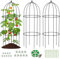 SUNYRISY 3 Stück Metall Tomaten Rankhilfe, 80 x 40 cm Garten Obelisk Groß Rankgitter Käfige für Kletterpflanzen wie Blumen, Tomaten, Rosen, Metall Gartenbogen Dekoration Schwarz