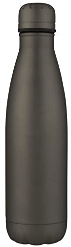 Bullet Cove Stainless Steel 500ml Bottle (One Size) (Matted Silver)
