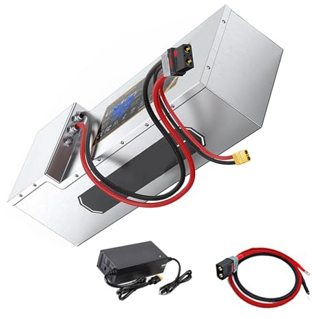 WSDAV Lithium-Akku für Elektrofahrräder (72 V, 90 Ah, 100 Ah, 120 Ah, 135 Ah), Elektromopeds und Motorräder (72 V) – Ersatzakku für Zweiräder und Dreiräder inklusive Ladegerät,72v 100ah 620mm