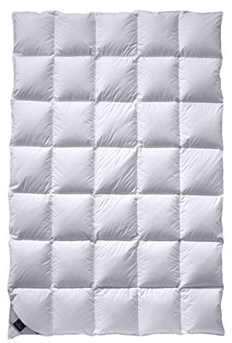 Billerbeck Daune Decke 308 Ambiente Mono, circa 155 x 220 cm (8501100004)