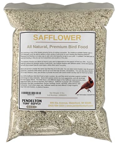 Pendelton Turf Supply Safflower Wild Bird Seed | All-Natural, Premium Bird Seed (8 lbs Resealable Bag)