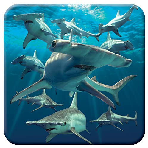 3D LiveLife Cork Coaster - Hammerhead Sharks from Deluxebase. Lenticular 3D Cork Ocean Coaster. Non-slip drinks mat with original artwork licensed from renowned artist, David Penfound