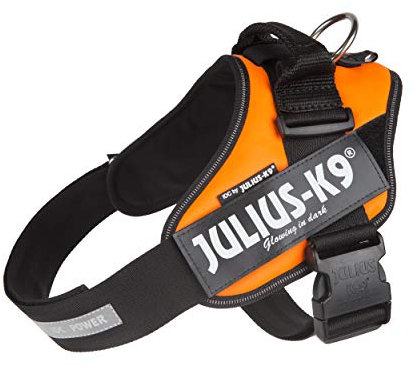 Julius-K9 IDC PowerHarness für Hunde mit zwei Patches, UV Orange, Größe 1