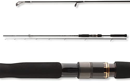 Daiwa Airity Jigger 2.70m 7-28g Spinnrute