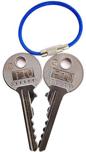 ® T10-PASS : Lot de 2 pass PTT Distincts - T10 & F10 en Acier, Usinage de Précision.Idéal pour Boîtes aux Lettres Individuelles et Collectives, Accès Facilité pour particuliers ou professionnels