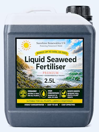 2.5L Premium Liquid Seaweed Fertiliser (1:200) – Natural Concentrated Plant Feed for Vegetables, Flowers, Lawns, Shrubs & Fruit Plants
