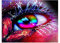 ParNarZar Diamond Painting Set für Erwachsene Augen Schmetterling 35x45cm Klein Eckige Steine vollbild set für Küche, Speisesaal, Wohnstub, Schlafzimmer, Eingangshalle, Treppe
