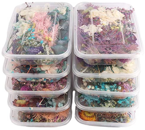 Ditanpu Fiori Secchi in Resina Misti, Fiori Eterni Artificiali Decorativi, Fiori Secchi Veri, Foglie Fiori Secchi Naturali per Fai da Te, Bouquet da Sposa, San, Festa della Mamma, Baby Shower