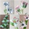 12 Stück tulpenzwiebeln winterhart mehrjährig mix tulpen zwiebeln - Seltene Pflanzen serie - winterharte stauden balkonpflanzen topfpflanzen draußen winterhart kübelpflanzen