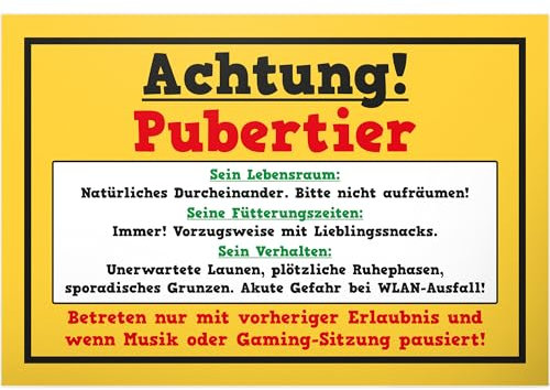 DankeDir! Pubertier - Kunststoff Schild 30 x 20 cm - Geschenkidee Teenager Spruch Zimmer Türschild Jungen & Mädchen Jugendzimmer - Dekoration Deko Geschenk Idee Jugendliche Tür Deko Geburtstag