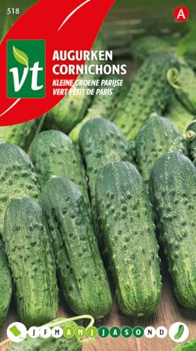 Cornichon Vert Petit de Paris – Gurkensamen für Einlegegurken – Traditionelle Sorte – Einfach im Garten oder Topf anzubauen