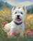 Malen nach Zahlen Kit für Erwachsene Kinder Anfängeri Westie Hund Tier West Highland Terrier Hund Moderne Kunst Malerei einzigartiges Geschenk Home Decoration Malerei