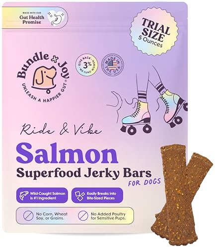 Bundle x Joy Ride & Vibe Salmon Jerky for Dogs - 5 Oz Bag, Natural Superfood - Corn, Poultry, Soy & Grain Free Salmon Dog Treats Made in USA Only
