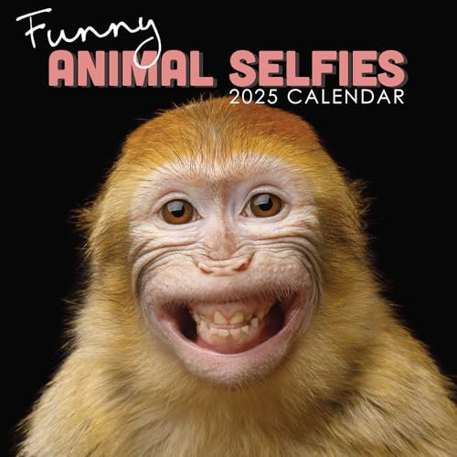 Wandkalender 2025, quadratisch, zum Aufhängen (Tier-Selfies)