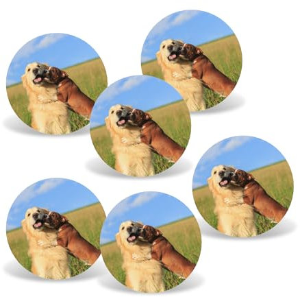 Allviper 6 Stück Acryl-Fotomagnete, Bilderrahmen für Kühlschrankaufkleber, personalisierte Kühlschrankmagnete, fügen Sie Ihr Fototextbild für dekorative Kühlschrankmagnete hinzu