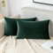 EMEMA Samt Kissenbezug Kissenhülle Dekorative Dekokissen Sofakissen Lendenkissen Wurfkissenbezug mit Verstecktem Reißverschluss Sofa Schlafzimmer 2er Set 40x60 cm Dunkelgrün