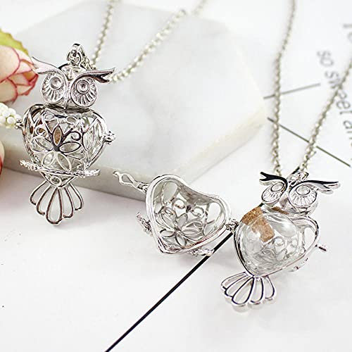 TIANZXS Bronze Eule Medaillon Anhänger Memory Medaillon Urne Schmuck für Esche Glas Eule Medaillon Anhänger Schmuck