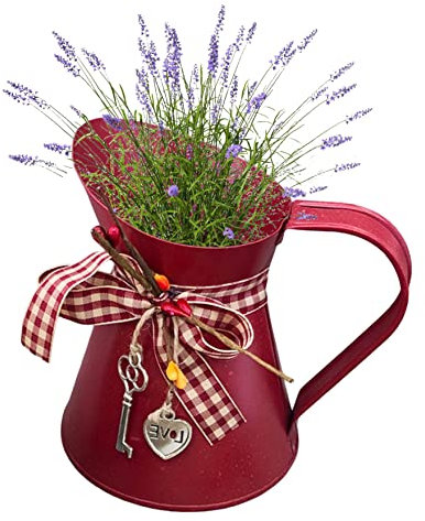 NIDONE Rustic Red Metal Pitcher Vase Planter, 12 x 15 cm, Indoor, Vintage Design, Tabletop, Solid, Round, Floral, PLANTER, Zinc, Iron
