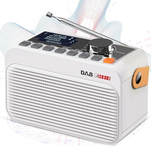 DAB/DAB+& FM Digital DAB Radio Mains Powered,3600mAh Rechargeable Battery,80 Preset Stations,DAB Radio with Bluetooth/Micro SD/USB Stick,USB Charging,Dual Alarm Clock,LCD Display,Headphone Jack