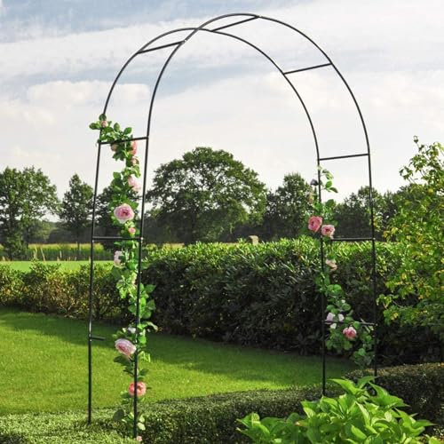YHWKGZ Arche Jardin Fer forgé, Roses Bridal Partie décoration pergola, Treillis d'arcade Stable for diverses Guirlande de Plantes grimpantes, Cadre de Rose Facile à Assembler et à démonter (Color : N